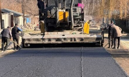 Школьный көчөсүн асфальттоо иштери жүргүзүлүүдө