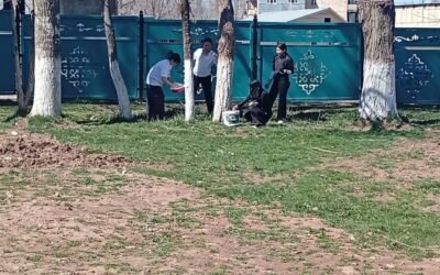 Арашан айыл аймагында 2026-жылдын 28-мартында жалпы ишембилик өткөрүлүп, айыл аймакты ирээтке келтирүү иштери жүргүзүлдү.