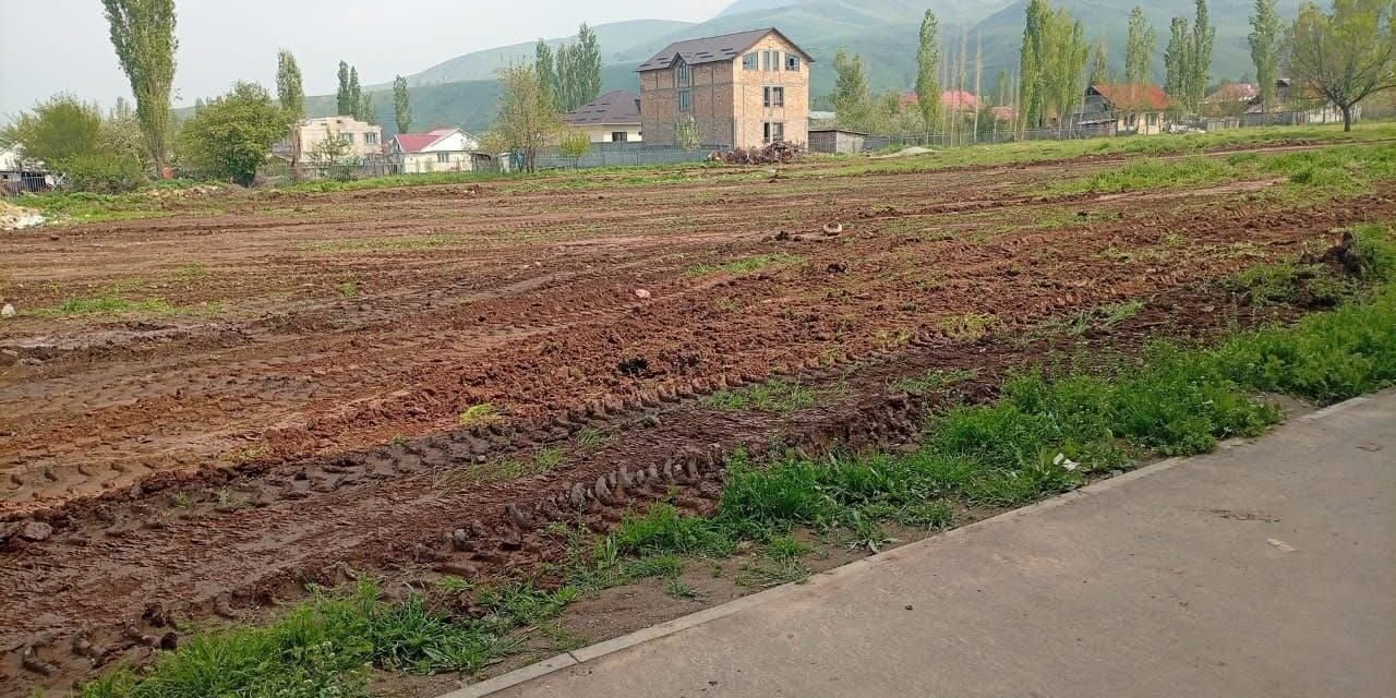 Таш-Дөбө айылынын Б.Бейшеналиева мектебинин короосуна бак тигүүгө жер тилкеси даярдалууда