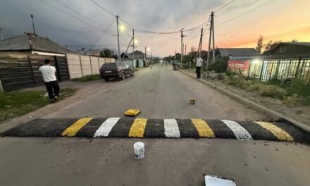 Арашан айыл аймагынын Таш-Дөбө айылынын ички көчөлөрүнө жол коопсуздугун сактоо максатында жасалма дөңчөлөр орнотулду