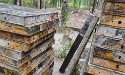 Малиновка айылына бара турчу жол тилкесинин жээгиндеги, авто унаалардын жүрүшүнө тоскоолдук жараткан бактарды бутоо иштери жүргүзүлүүдө